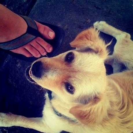 La primera foto publicada en Instagram.