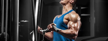 Nuestras técnicas de intensificación favoritas para la hipertrofia: dropsets, myo-reps y series holísticas 