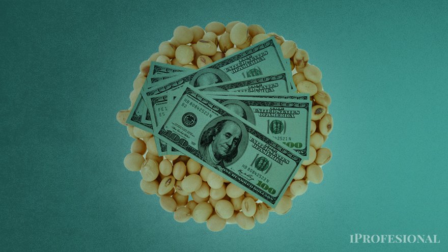 Dólar agro: el Gobierno busca otra vez la liquidación del campo.