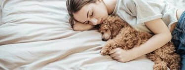 Cuál es el papel del sueño en nuestra vida y bienestar: ¿por qué dormimos? 