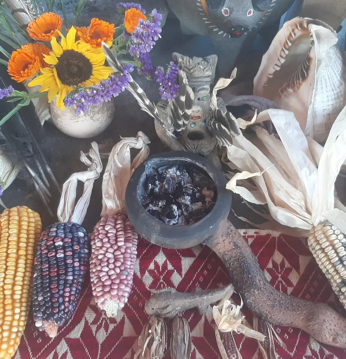 Tours gastronómicos xochimilco