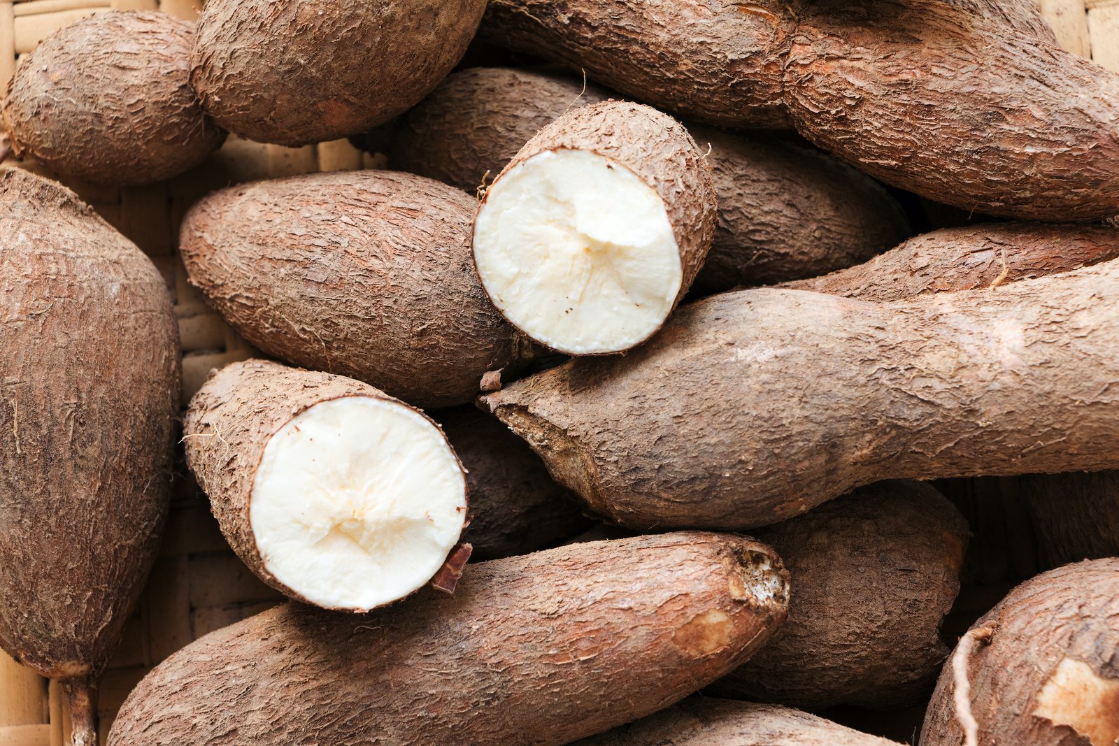 Yuca