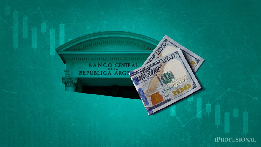 El BCRA registró esta semana compras netas por u$s302 millones en el mercado cambiario
