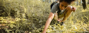 El alimento de temporada que te ayudará a reducir el colesterol y a regular tu microbiota 