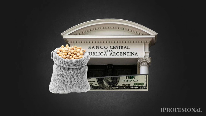 Las reservas, de mal en peor: cómo es la dinámica explosiva del "dólar agro"