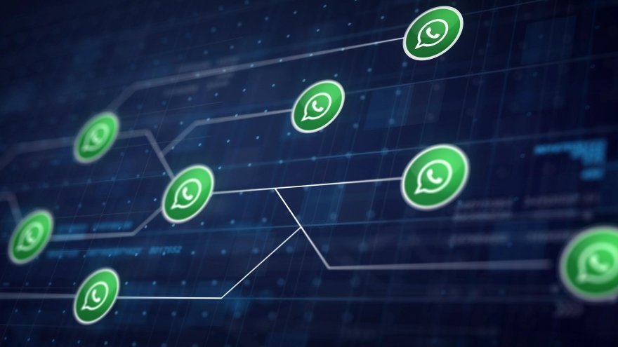 Para millones de personas, WhatsApp funge como una red social.