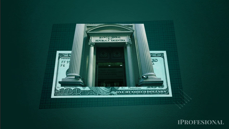 Reservas: el BCRA evita vender divisas, pero magros resultados del dólar agro inquietan al mercado