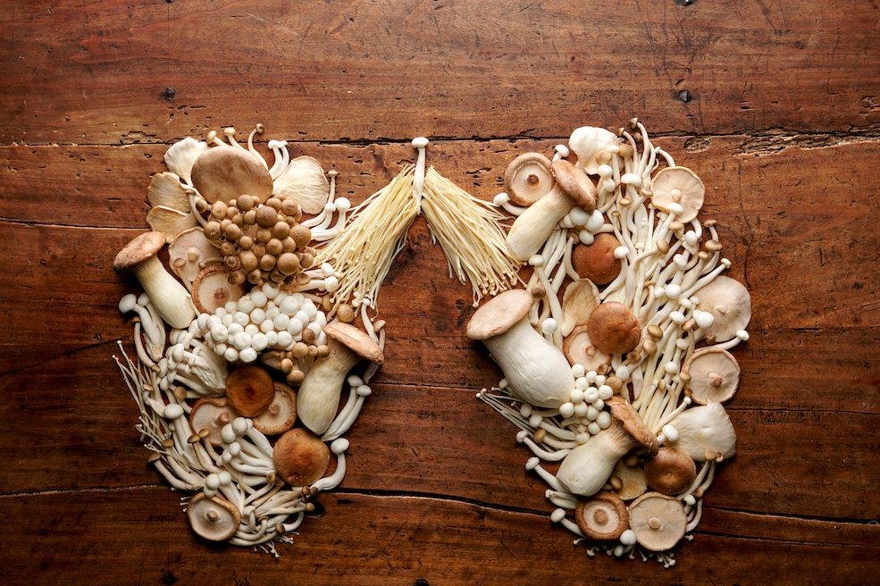 setas en forma de pulmones