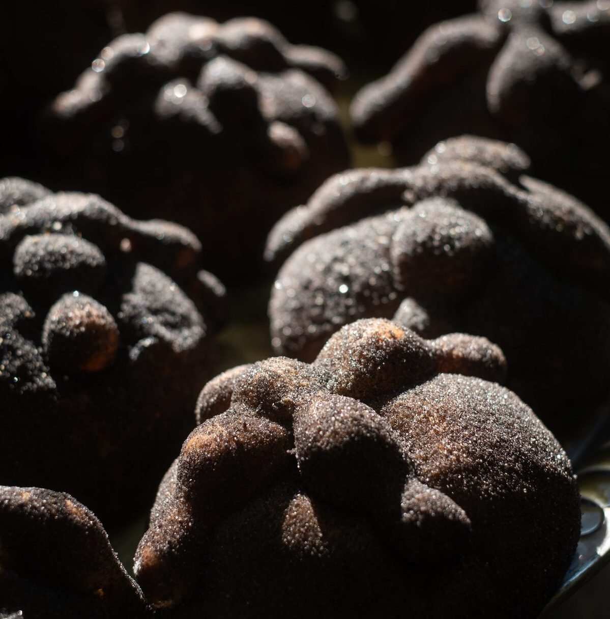 Cómo hacer pan de muerto negro con ceniza de totomoxtle