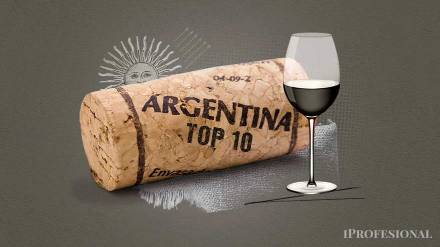Los 10 mejores vinos argentinos que un panel de expertos eligió entre más de 500 etiquetas