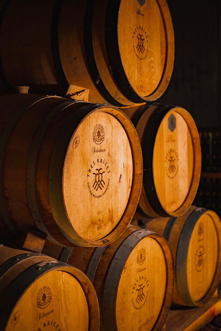 Pinot Noir de Tres raíces. Barricas de Pinot Noir, cava del viñedo. 