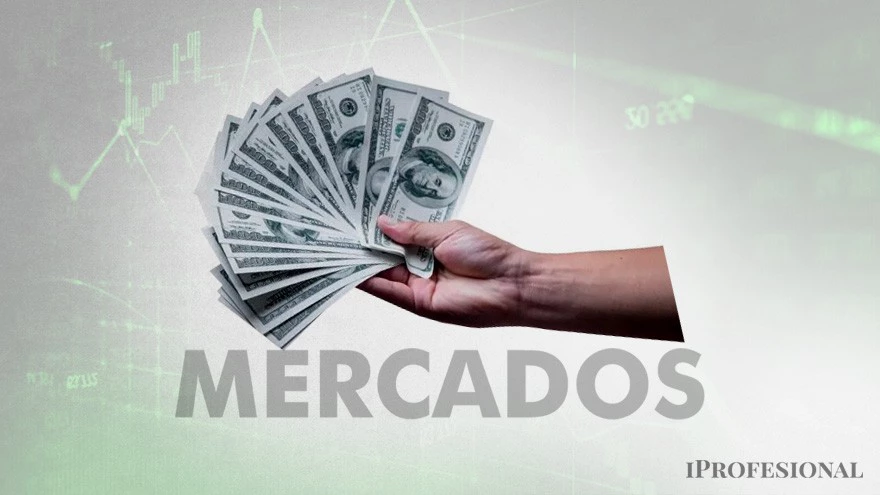 Dónde ve el mercado las mejores oportunidades de inversión con Milei en el poder