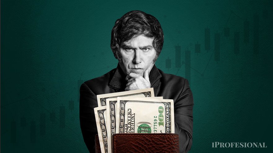 Los economistas estiman que se liberaría rápido el mercado cambiario para que el cepo cambiario no sea un obstáculo