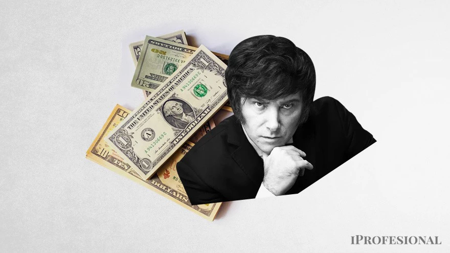 ¿Rápida liberalización del precio del dólar?: esto esperan los economistas con Milei