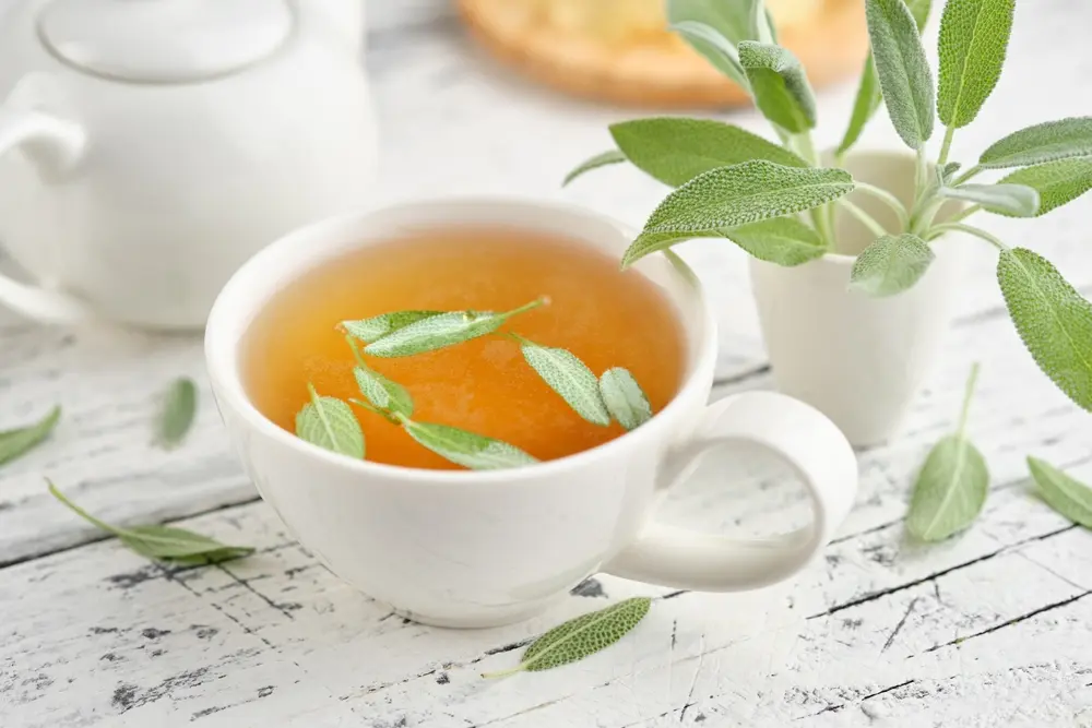 Té de salvia para la gastritis
