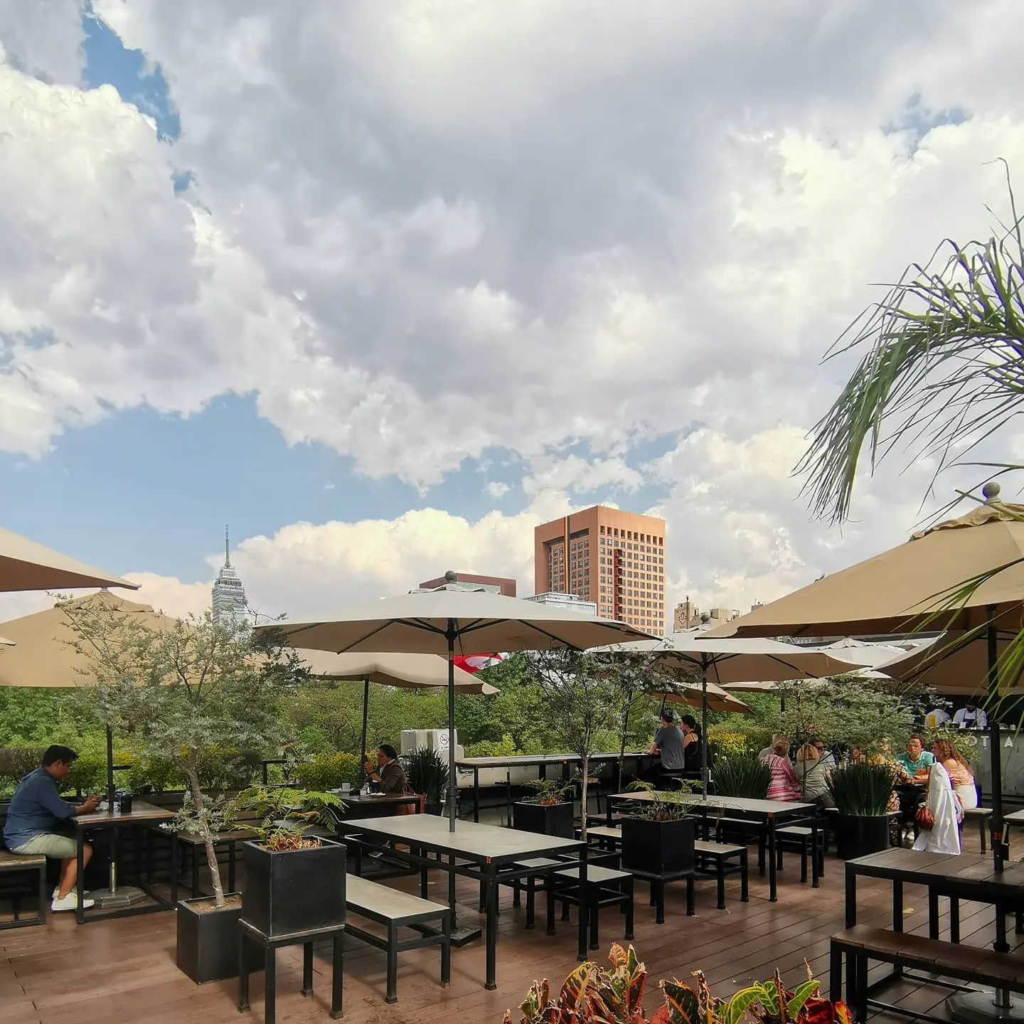 La Azotea, terraza en CDMX