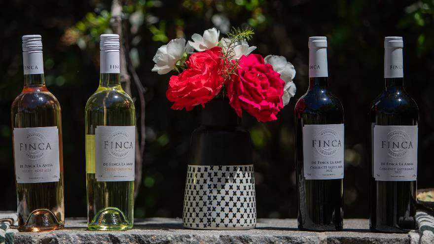 Bodega Finca La Anita relanza una mítica marca de vinos y apunta a ganar más mercados internacionales