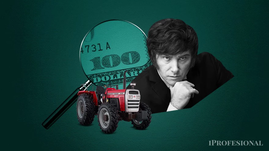 Clave para la estabilización: cuántos dólares tendrá Milei hasta la próxima cosecha