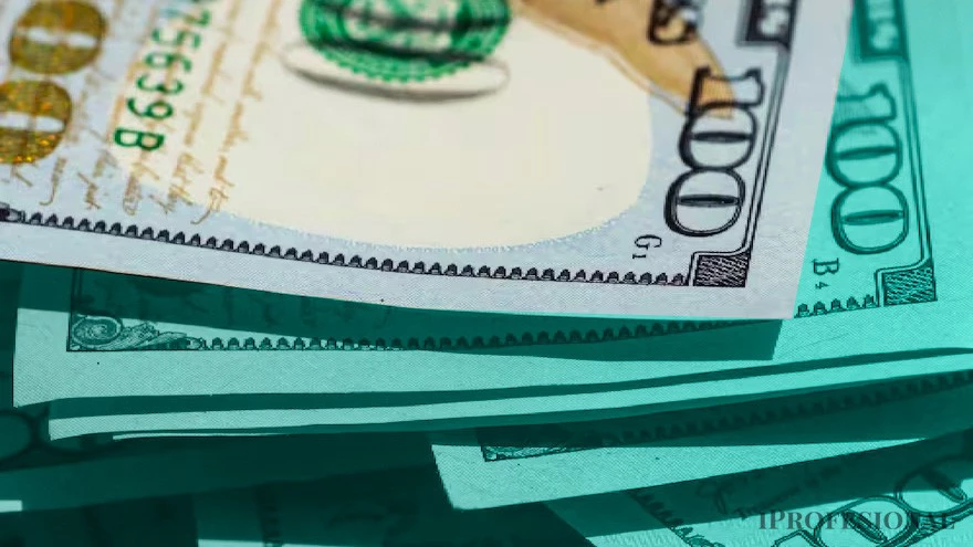 Cómo podés comprobar si un dólar es falso a simple vista, con solo tocarlo o con el celular