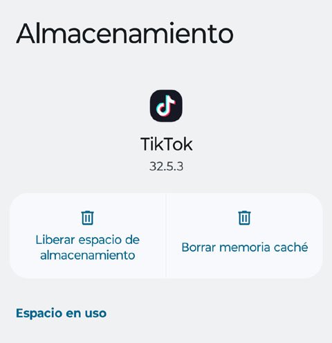 Es una buena idea borrar el caché para ahorrar espacio.