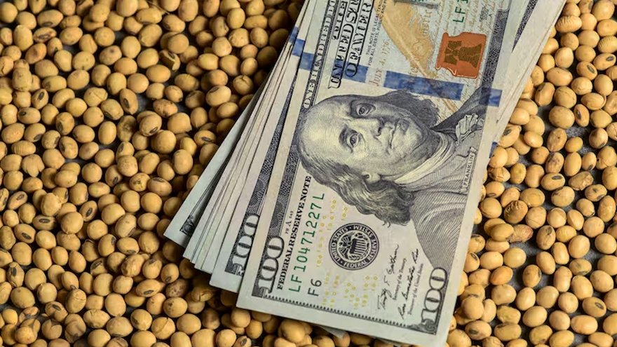 La brecha cambiaria puede ser la clave para que el campo liquide