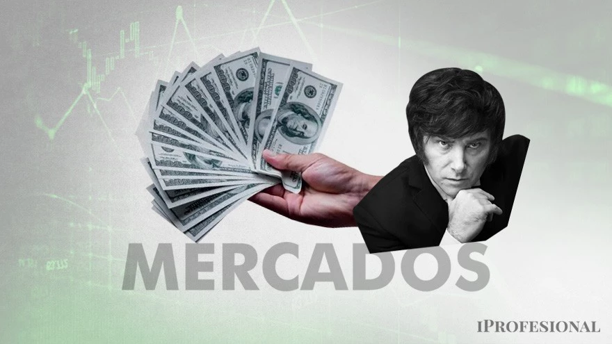 El Merval, los ADRs en Nueva York y los bonos en dólares retroceden en el primer día de Milei como Presidente