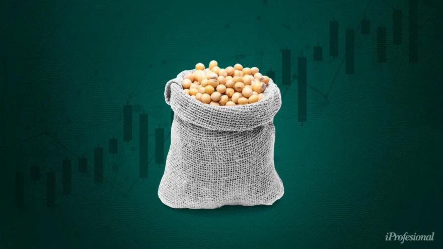 Exportaciones: estiman que Milei tendrá un superávit comercial de u$s15.000 millones en 2024