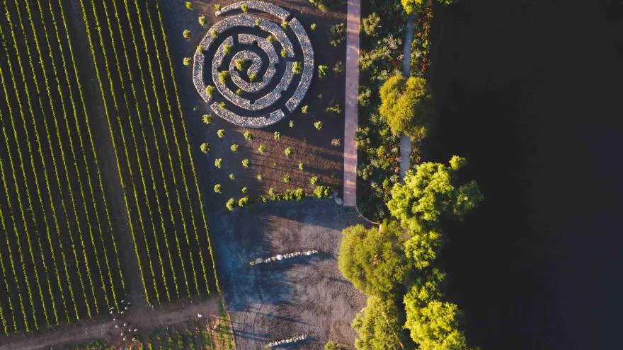 Vinos extremos y originales: así son las nuevas añadas de Bodega Amalaya