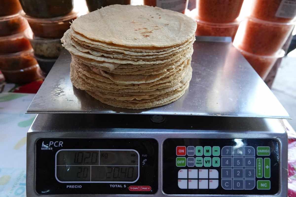 Precio de la tortilla en 2024