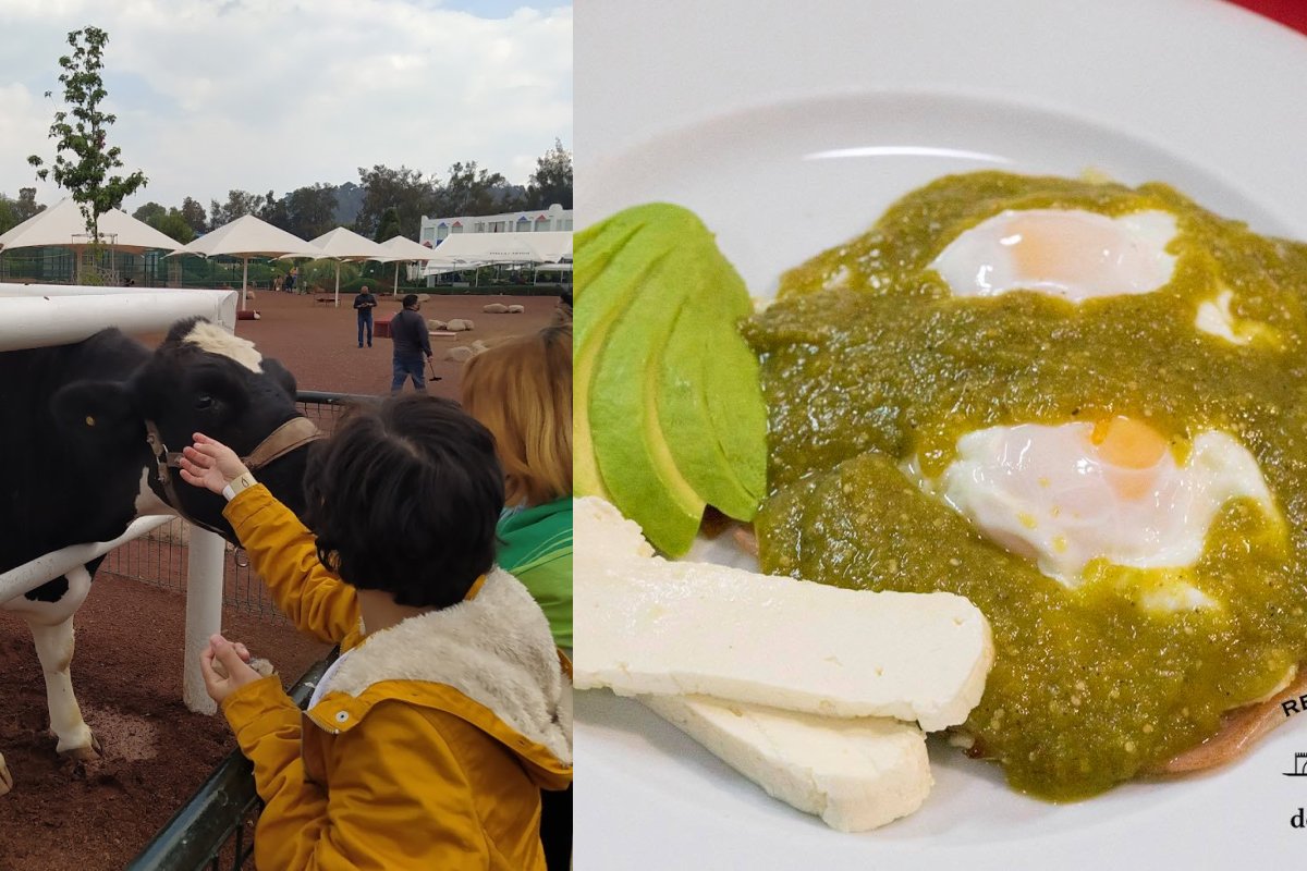 los mejores lugares para comer en Amecameca