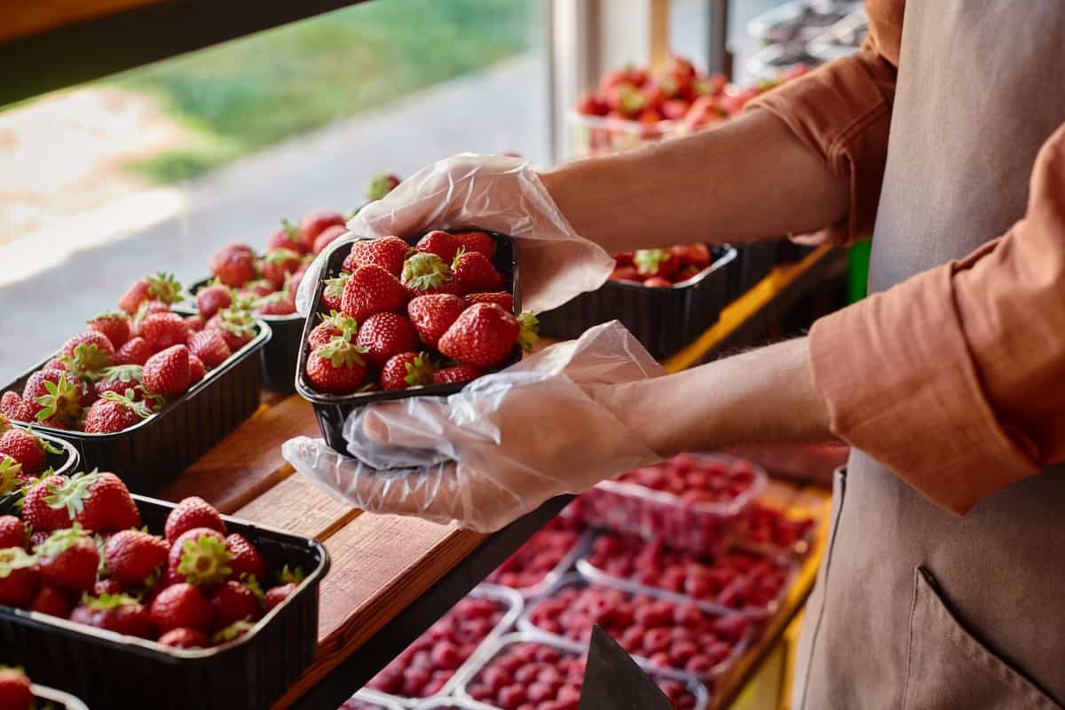 Feria de las Fresas en Irapuato