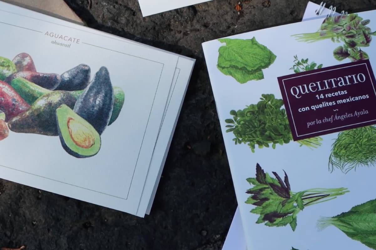 Frutas nativas y quelitario de Opuntia