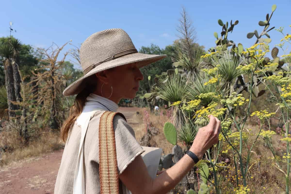 Ana Ezcurra editora del proyecto Opuntia