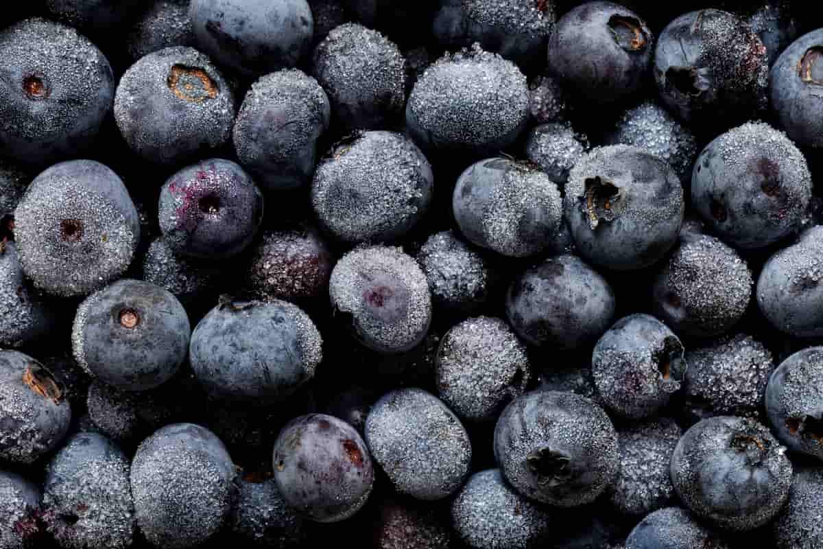 cómo debo comer las blueberries