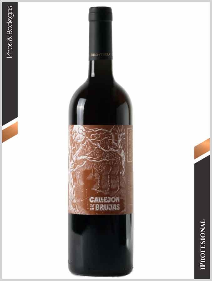 Callejón de las Brujas Malbec