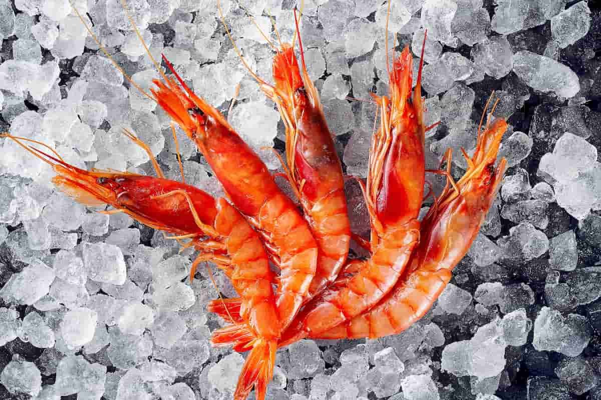 mariscos a domicilio