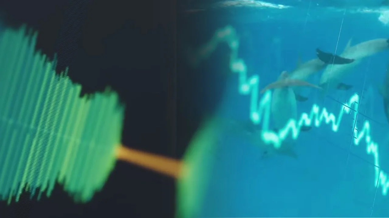 DolphinGemma: la Inteligencia Artificial que busca la comunicación con delfines