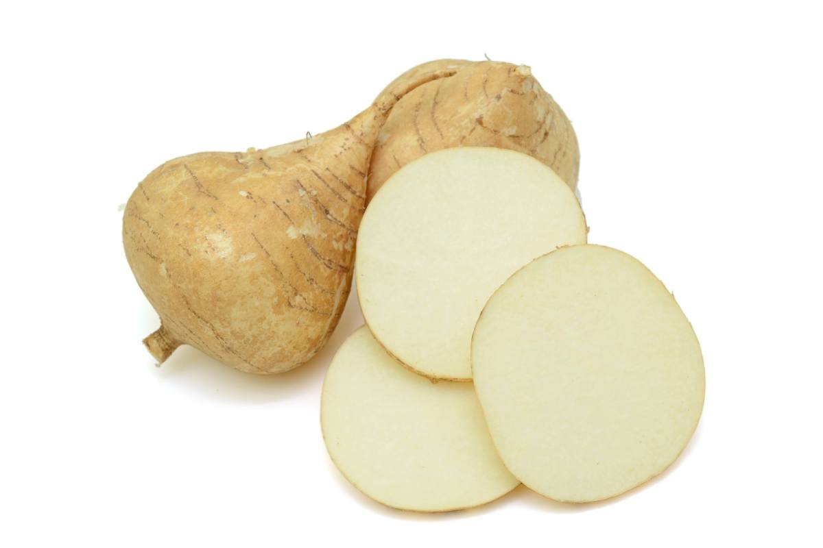 rodajas de jícama