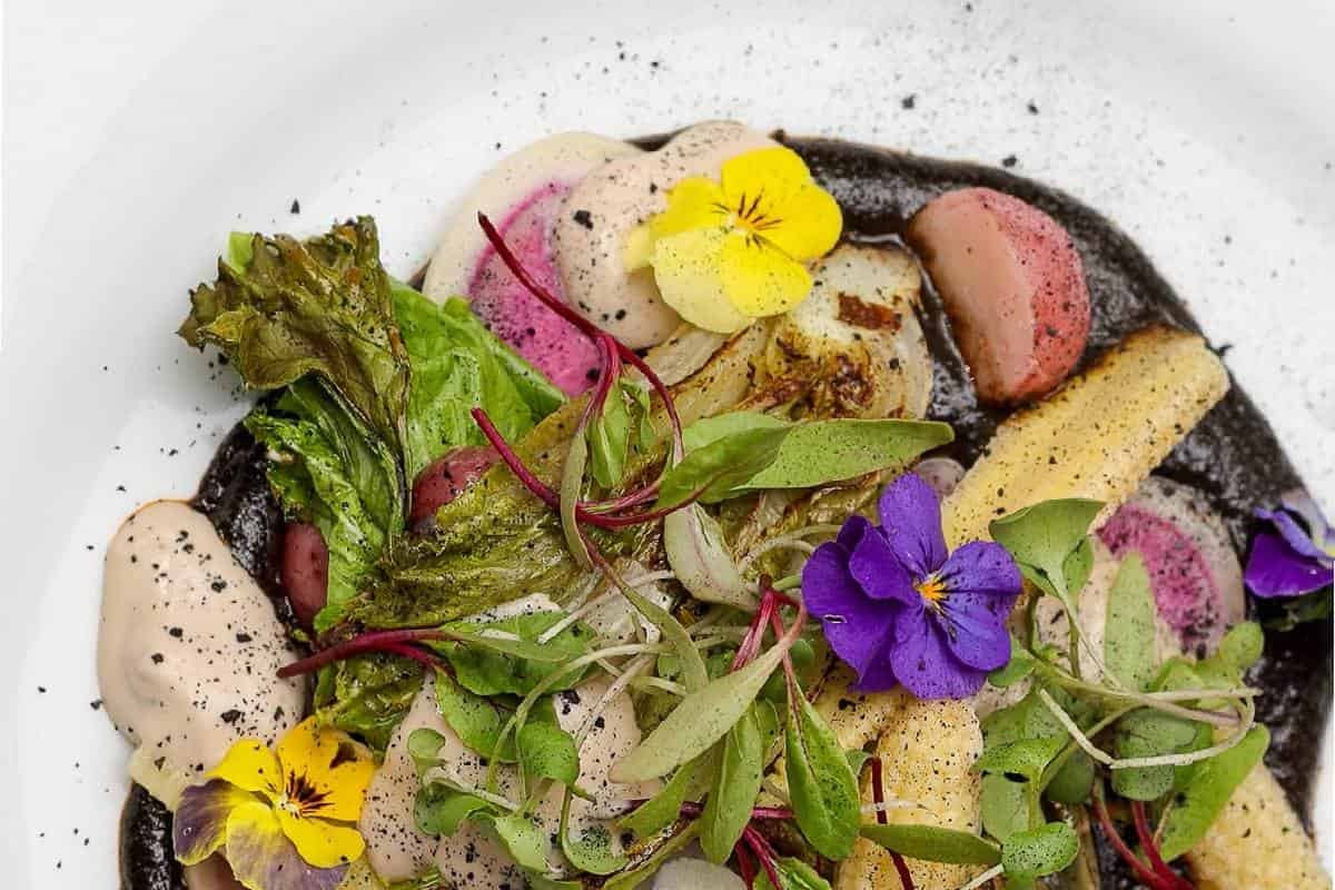 platillo de sala gastronómica en chapultepec