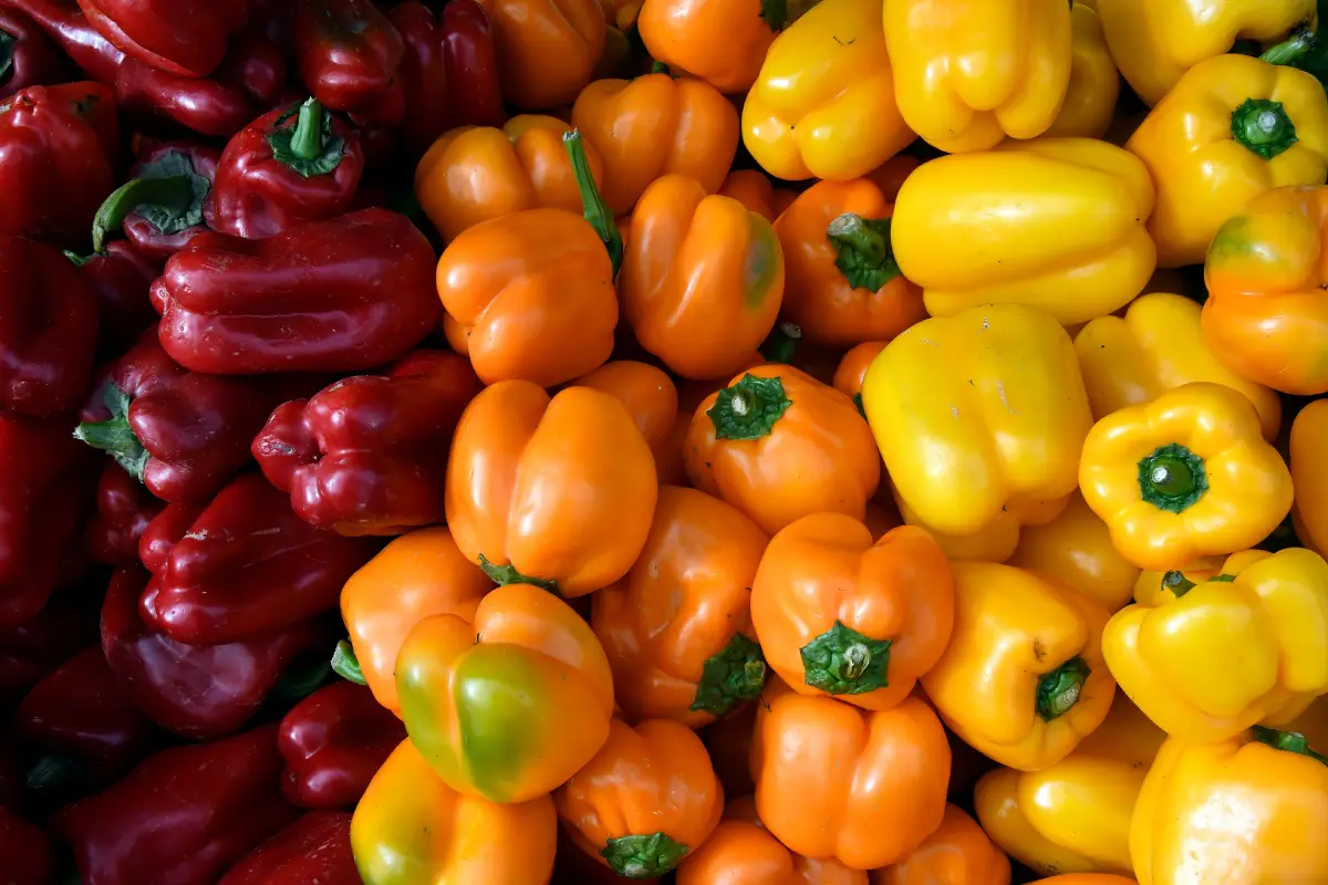 beneficios del chile y los pimientos