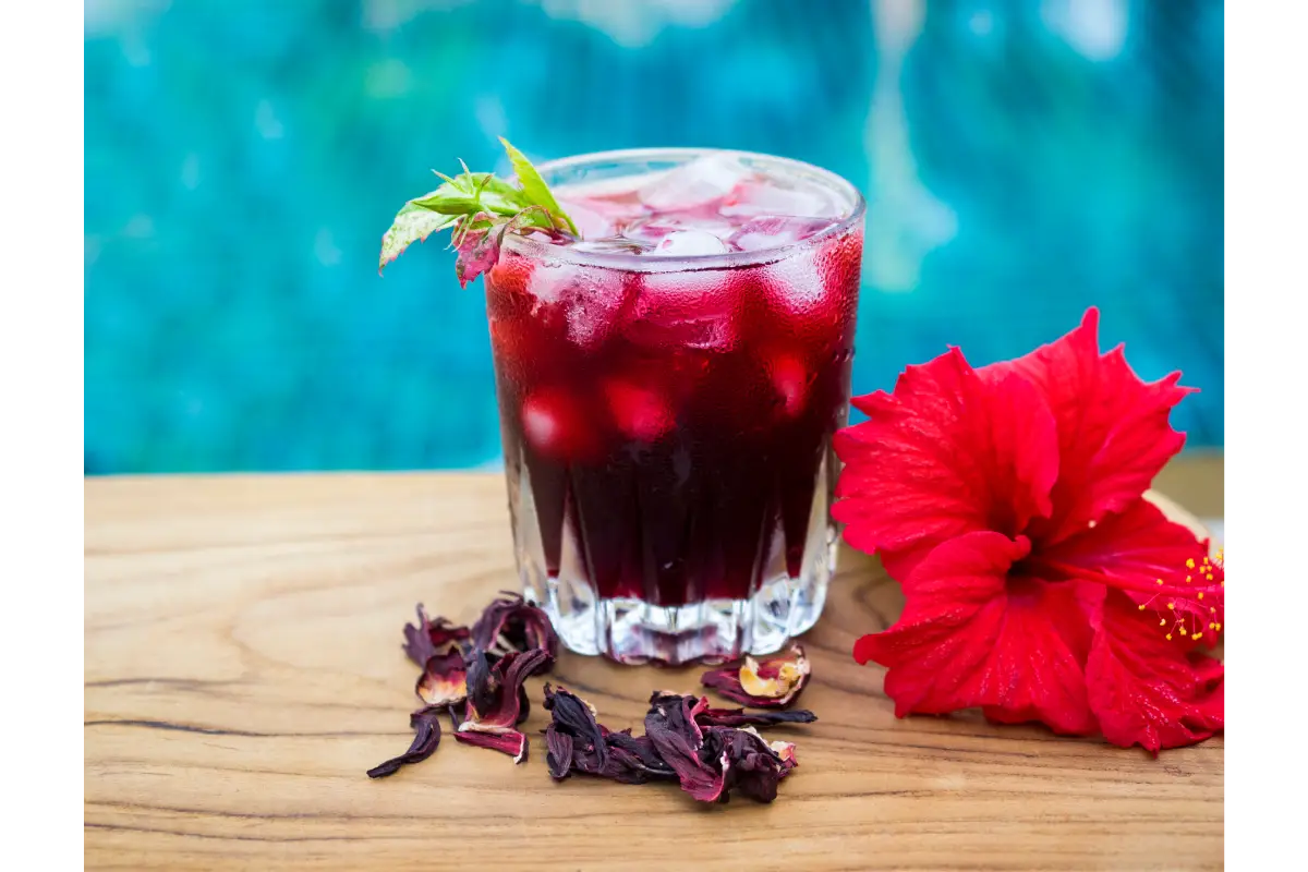 beneficios del agua de jamaica