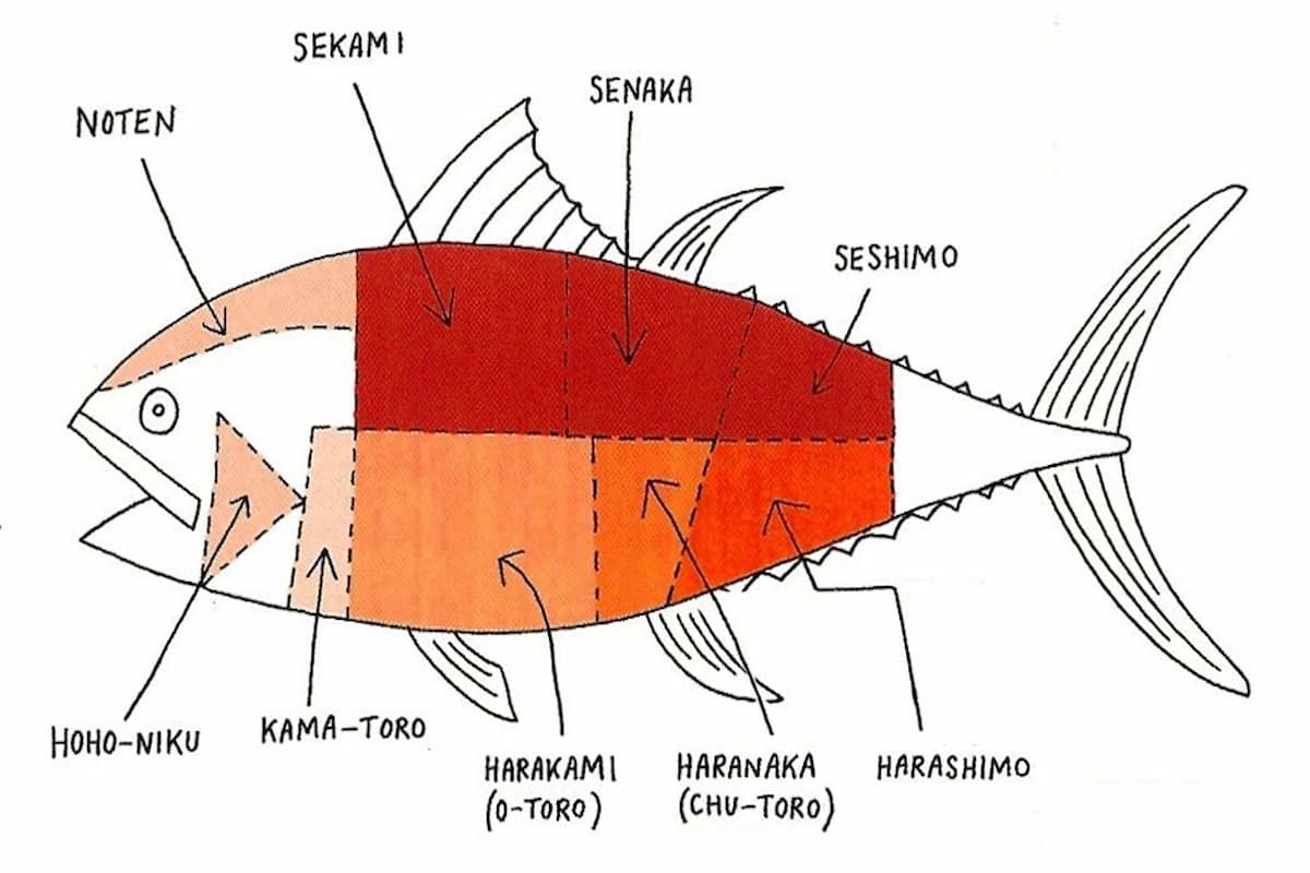 así es como se divide el atún en el ronqueo japonés