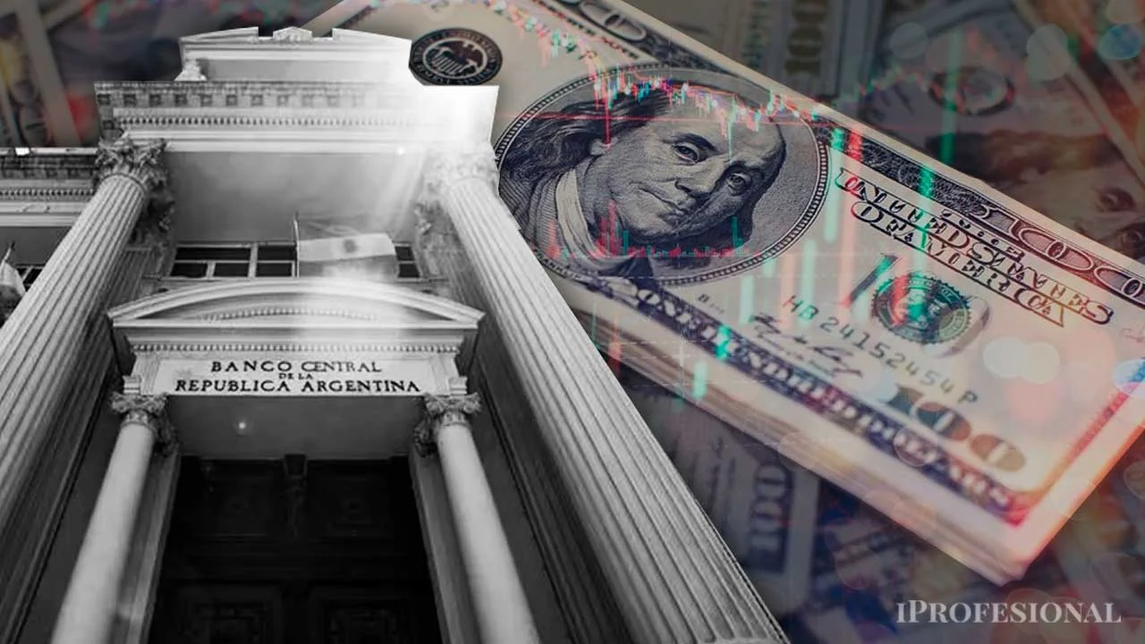 Dura advertencia al Gobierno: qué pasa con dólar y reservas, según exintegrante del equipo económico