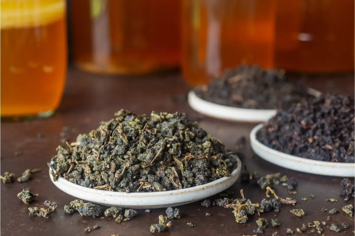 Té oolong