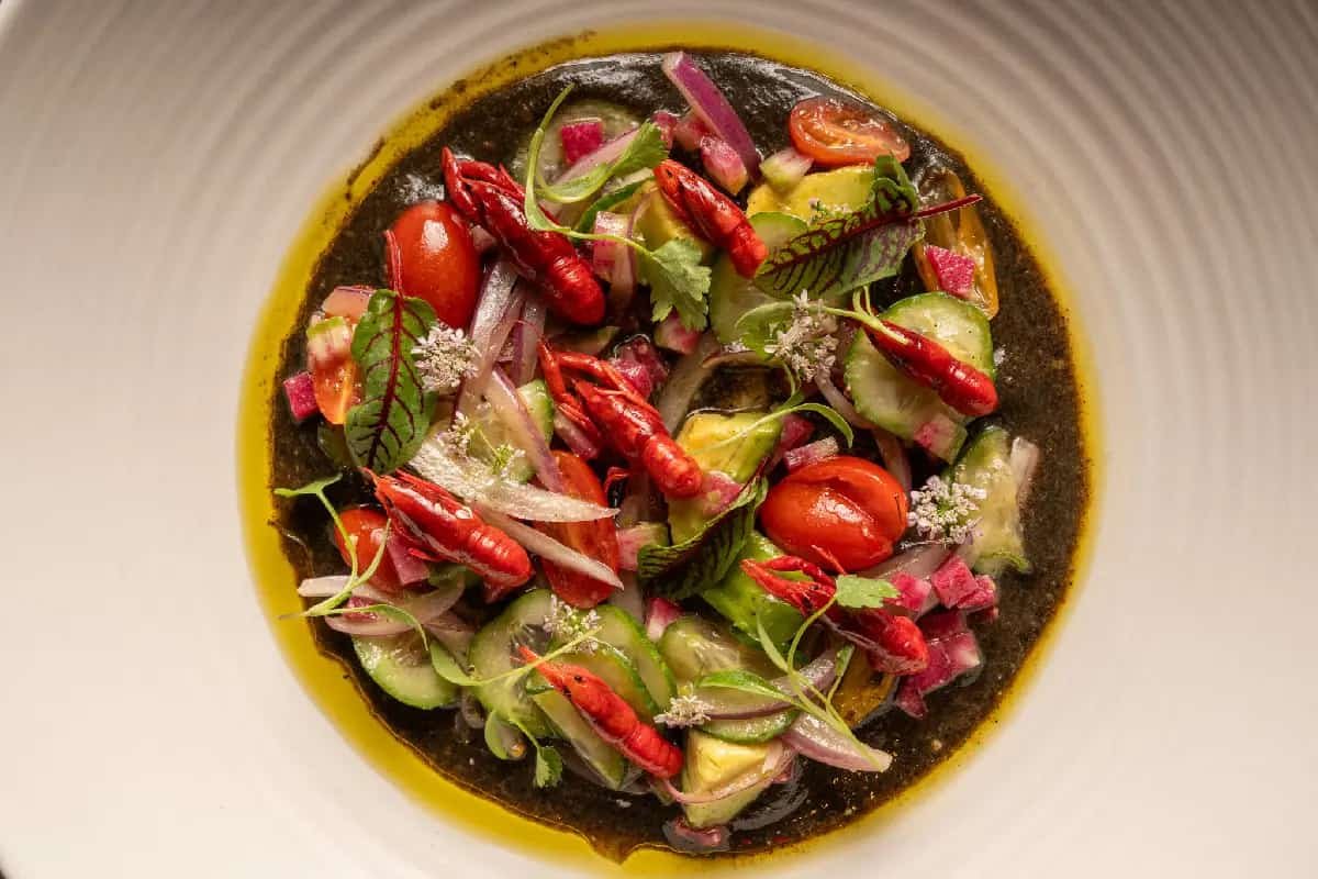 Festival de los bichos 2025