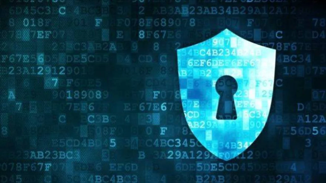 Ciberseguridad en empresas: ¿por que se debe priorizar la cultura sobre la tecnología?