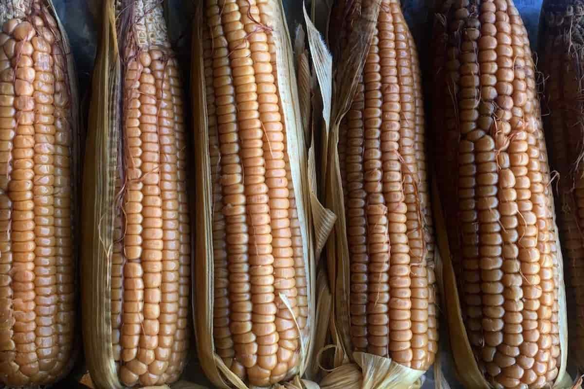 platillos típicos de Yucatán