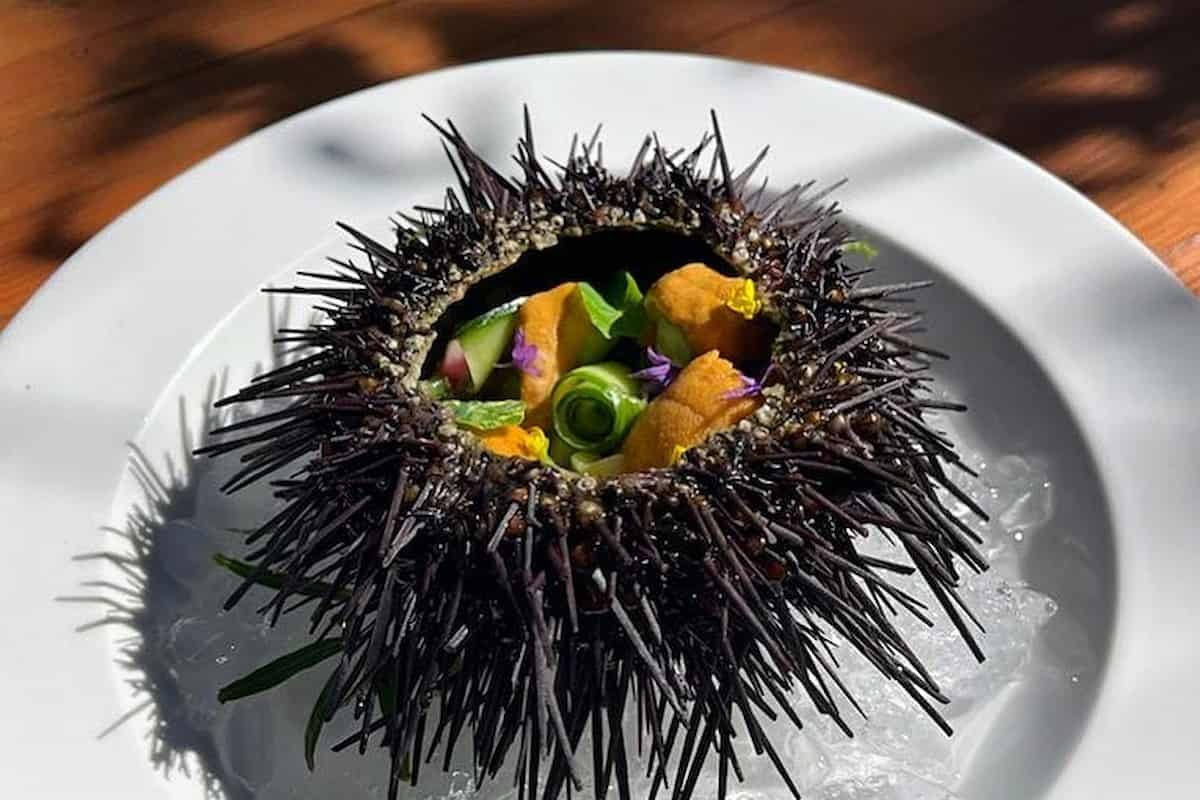 Estos son los restaurantes con Estrella Michelin en Valle de Guadalupe