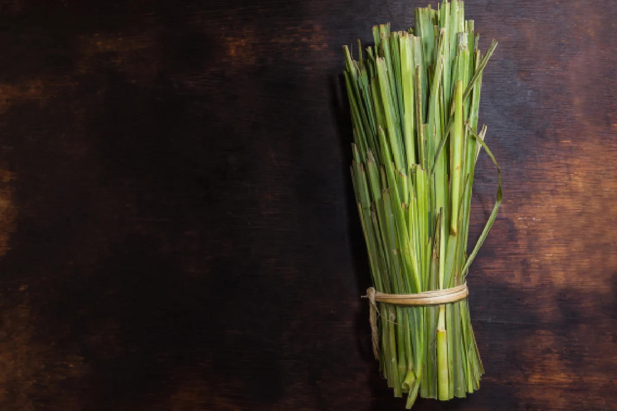 Té de zacate limón