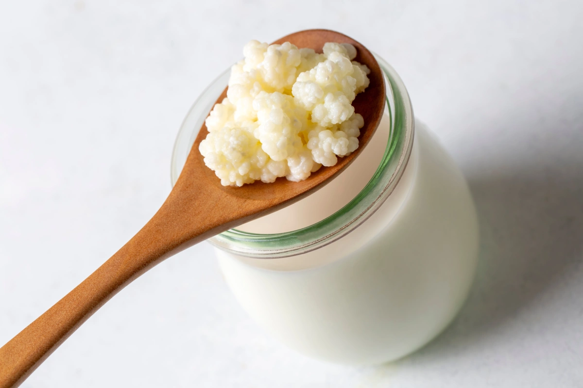 Búlgaros de leche